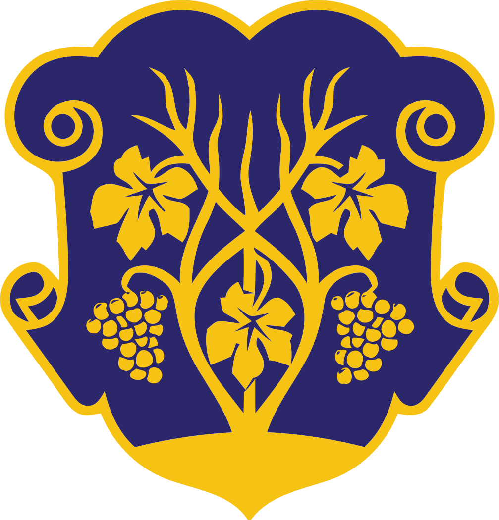 Ужгородська міська рада